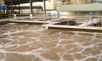Tổng quan về bùn vi sinh trong xử lý nước thải
